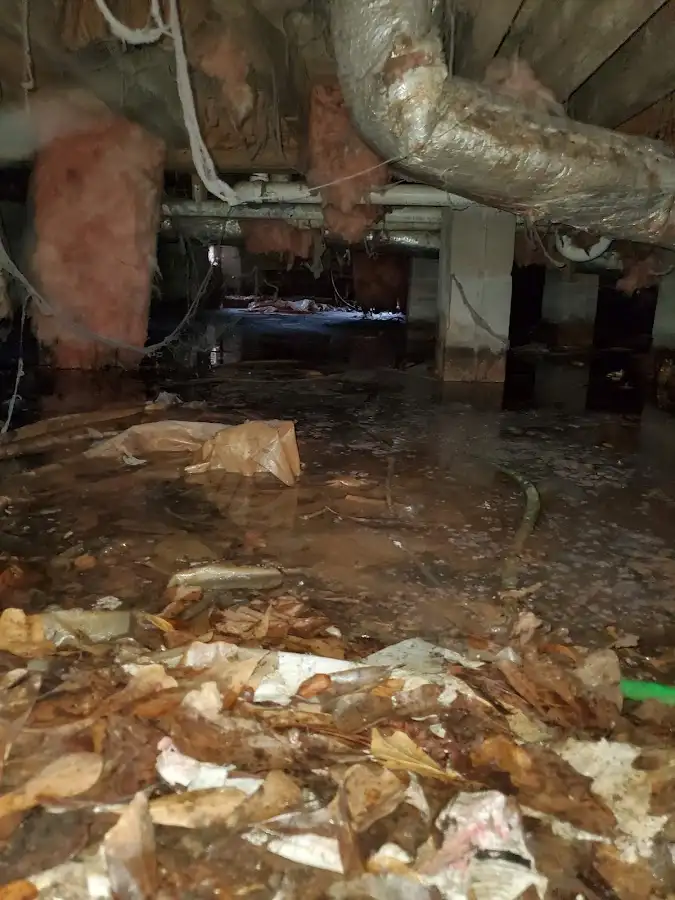 Crawl space flood assessment for Leak Detection & Repair in Lake Mills